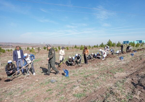 Diyarbakır’da öğrenciler atık toplayıp fidan dikerek doğayı koruyor