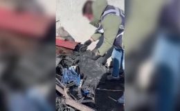 Evinin bahçesindeki çöp yığınına silah gizleyen zanlı tutuklandı