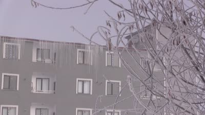 Göle’de dondurucu gece: Yollar buz tuttu, ağaçlar kırağıyla kaplandı