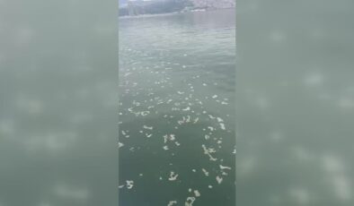 İzmir Körfezi’ne boya atığı deşarj eden firmaya 8,3 milyon lira ceza
