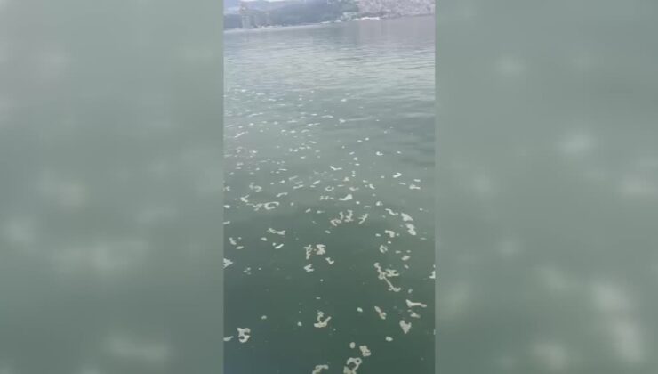 İzmir Körfezi’ne boya atığı deşarj eden firmaya 8,3 milyon lira ceza