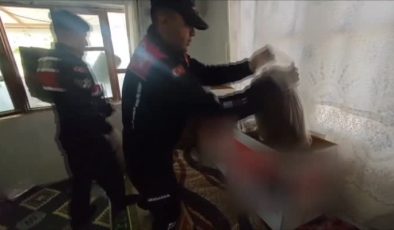 Kaçakçılık operasyonunda 3 şüpheli yakalandı