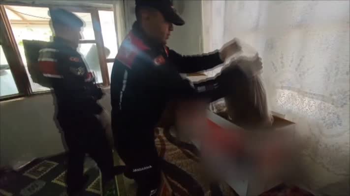 Kaçakçılık operasyonunda 3 şüpheli yakalandı