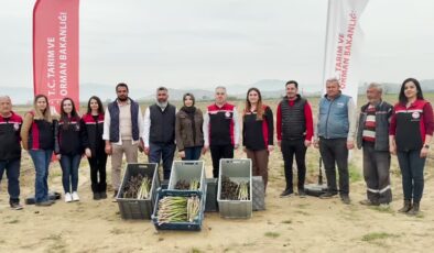 Tire’de kuşkonmazla üretime başlayan kadın çiftçi ihracata hazırlanıyor