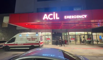 Kaybolduğu Belgrad Ormanı’nda bulunan Ece Gürel hastanede hayatını kaybetti