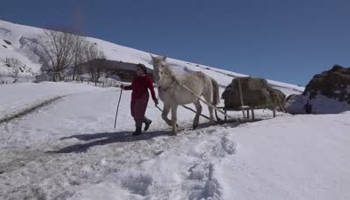 Kırsalda besicilik yapan kadınlar, hayatın zorluklarına göğüs geriyor