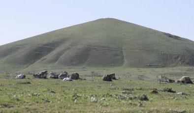 Lidya Tümülüsleri baharla birlikte çiçeklerle renklendi