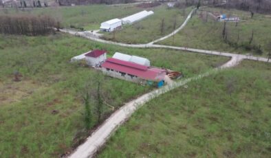 Kanserle savaşan Mine Aydın, çiftçilikle hayata yeniden tutundu