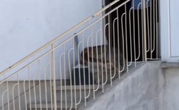 Sahipli köpeğin saldırısından oğlunu kurtarmak isteyen baba yaralandı