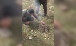 Siirt’te kaçak avlanan 6 kişiye toplam 53 bin 619 lira ceza verildi