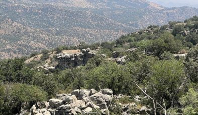 Şırnak’ta köy ve mezradaki 634 kişiye tapuları verildi