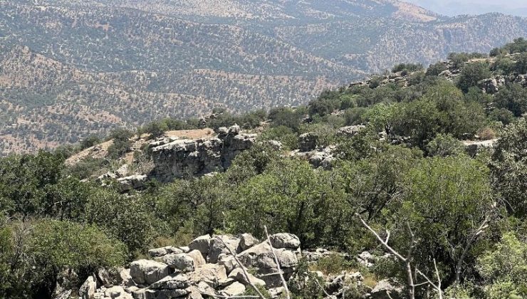 Şırnak’ta köy ve mezradaki 634 kişiye tapuları verildi