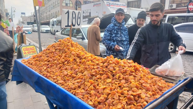 Diyarbakır’da Hoşaflık Kayısıya yoğun ilgi