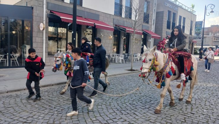 Sur’un süslenmiş atları turistlerin ilgi odağı oldu