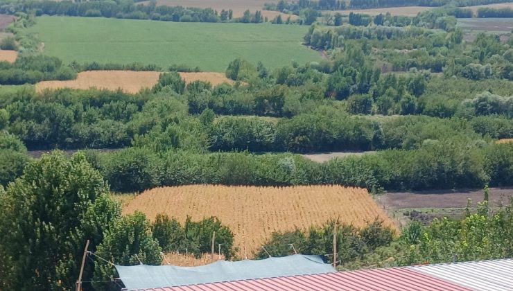 Hevsel Bahçeleri baharla birlikte yeşile büründü