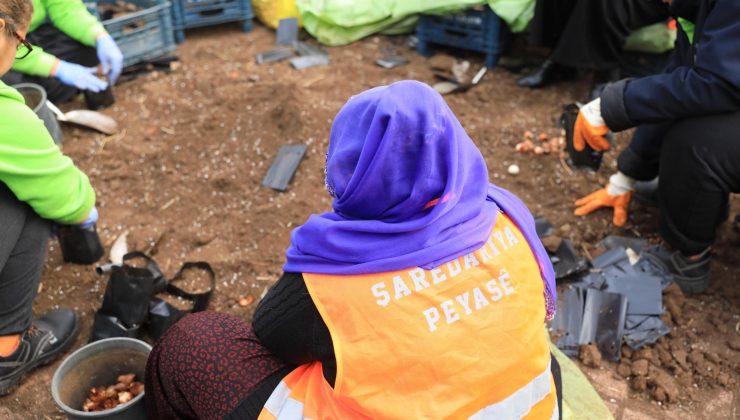 Kayapınar üretiyor, ekimini yapıyor ve yeşil destek veriyor