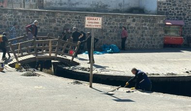 Anzele Havuzu’nda temizlik seferberliği başladı