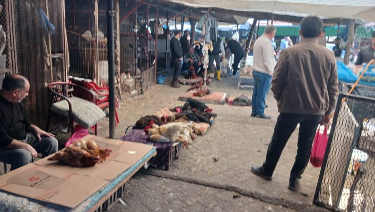 Diyarbakır’da canlı hayvan pazarlarında Ramazan yoğunluğu