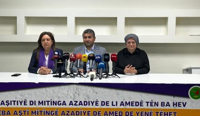 Özer: Tarihi bir Newroz olacak
