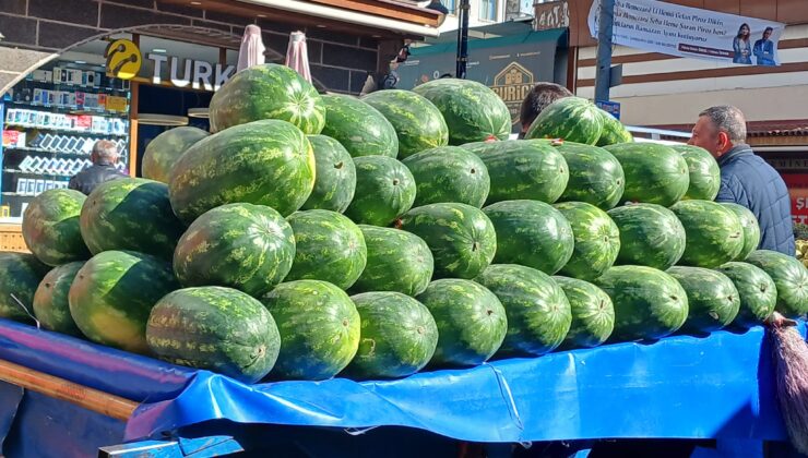 Diyarbakır’da karpuz tezgahlarda, fiyatlar cep yakıyor!
