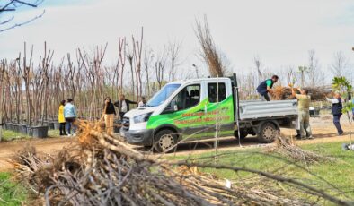 Kayapınar Belediyesi’nden meyve bahçeleri projesi