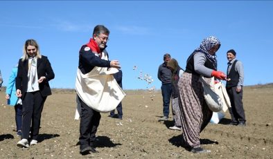 Tarım ve Orman Bakanı Yumaklı, Kastamonu’da sarımsak ekimine katıldı