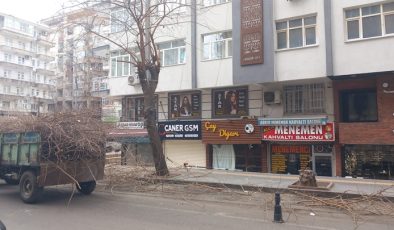 Diyarbakır’da Budama Çalışmaları Başladı