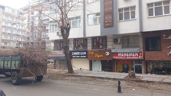 Diyarbakır’da Budama Çalışmaları Başladı