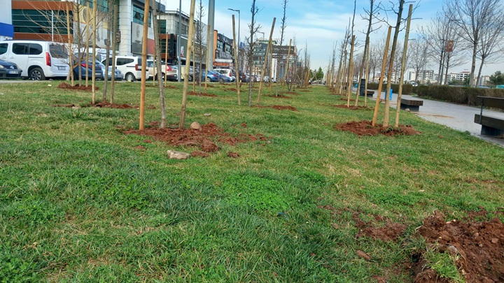 Diyarbakır Yeşile Bürünüyor