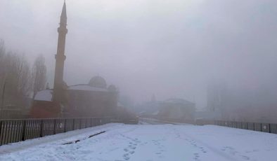 Doğu’da kar ve soğuk hava etkisini sürdürüyor
