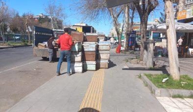İlkbahar Geldi Kovanlar Gözüktü