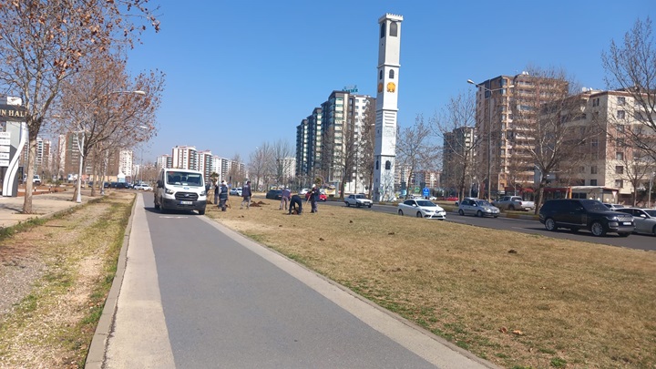Kayapınar Yeşilleniyor