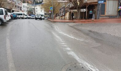 Ani hava değişimi çiçek açan ağaçlara zarar verdi