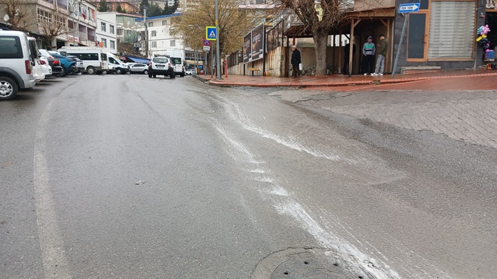 Ani hava değişimi çiçek açan ağaçlara zarar verdi