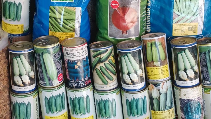 Diyarbakır’da Havalar Isındı, Tohumluk Satışları Başladı
