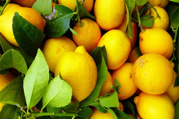 Don vurdu, ihracat durdu: Limon için flaş karar geldi