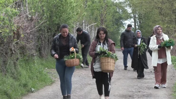 8 bin yıllık Hevsel Bahçeleri’nden toplanan otlar Diyarbakır’ın lezzet şölenine dönüşüyor