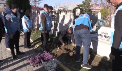 AK Parti’li gençler, şehit kabirlerinde temizlik yaptı