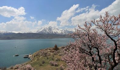 “3. Akdamar Adası Badem Çiçeği Festivali” başladı