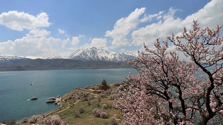 “3. Akdamar Adası Badem Çiçeği Festivali” başladı