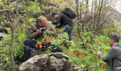 “Ağlayan gelin” için 1613 rakımlı Görese Dağı’na tırmanıyorlar