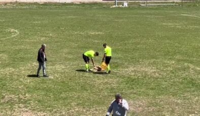Hakemden köpeğe kırmızı kart: Saha dışına böyle gönderdi