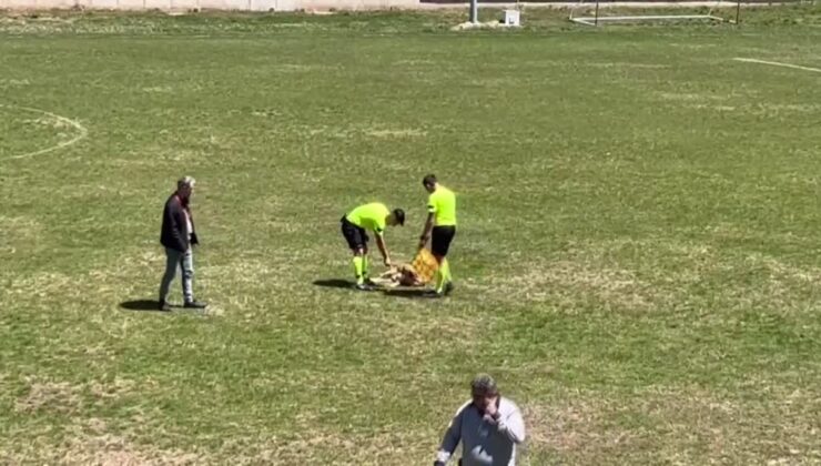 Hakemden köpeğe kırmızı kart: Saha dışına böyle gönderdi