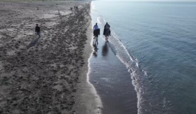 Dededen miras tutkuyla, atlı safari kamplarıyla yollara düştü