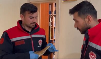Bitkin halde bulunan küçük balaban tedavi altına alındı