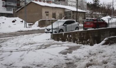 Bitlis ve Muş’ta kar nedeniyle 74 köy yolu ulaşıma kapandı