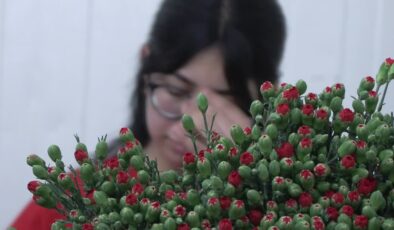 Türkiye’den 80 ülkeye çiçek ihracatı 56,2 milyon doları aştı