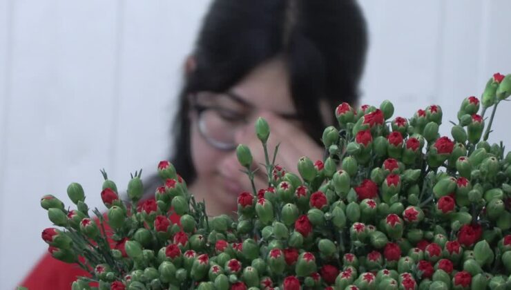 Türkiye’den 80 ülkeye çiçek ihracatı 56,2 milyon doları aştı