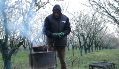 Çiftçiler, zirai dona karşı bahçelerinde gece nöbetinde