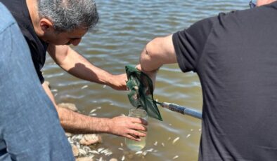 Çınarköy’de balık ölümleri sonrası ekipler harekete geçti